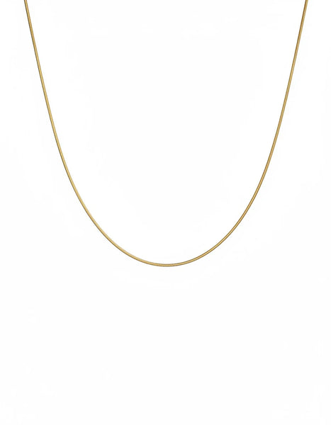 C COLA DE RATON DIAMANTADA 65CM