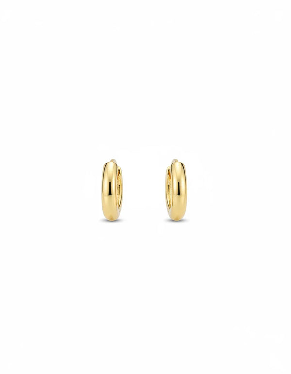 CANDONGA BASIC STANDARD 1.3CM