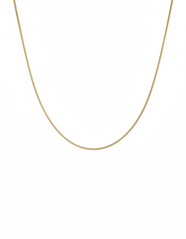 C COLA DE RATON DIAMANTADA 65CM